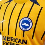 CAMISETA BRIGHTON & HOVE ALBION TERCERA 25/26 - Imagen 3