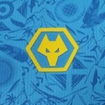 CAMISETA WOLVERHAMPTON WANDERERS TERCERA 25/26 - Imagen 3