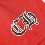 Shorts Mesh Warm Up Jersey - Imagen 5